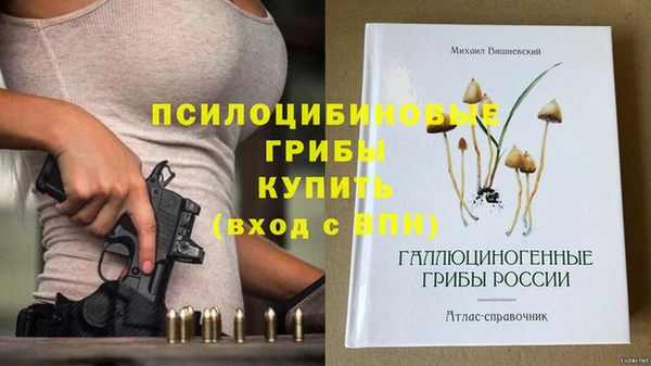дурь Белокуриха